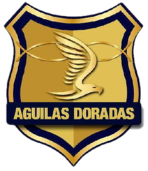 意达古